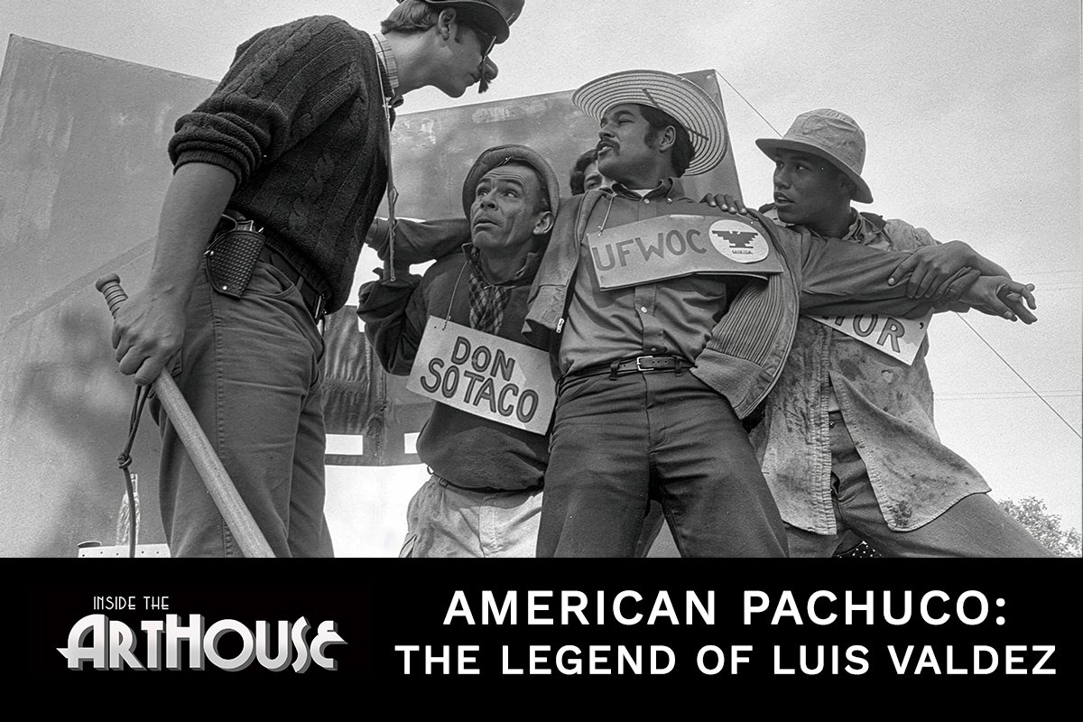 AMERICAN PACHUCO